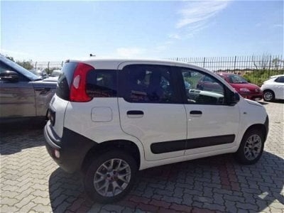 Usato 2020 Fiat Panda 4x4 0.9 Benzin 84 CV (10.500 €)