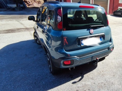 Usato 2021 Fiat Panda 4x4 0.9 Benzin 85 CV (17.500 €)