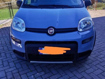 Usato 2021 Fiat Panda 4x4 0.9 Benzin 86 CV (16.500 €)