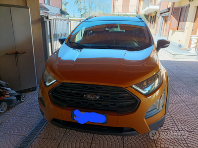 Usato 2021 Ford Ecosport 1.0 Benzin 125 CV (19.000 €)