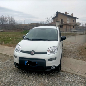 Usato 2023 Fiat Panda 1.0 Benzin 70 CV (13.900 €)