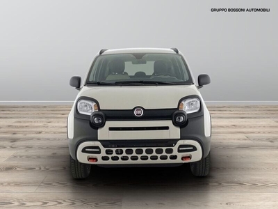 Usato 2024 Fiat Panda 4x4 0.9 Benzin 86 CV (19.500 €)
