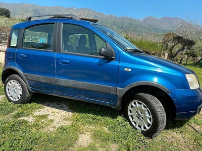 Venduto Fiat Panda 4x4 1.2 CLIMBING - auto usate in vendita