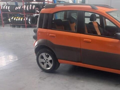 Venduto Fiat Panda Cross 4x4 1.3 MJT - auto usate in vendita