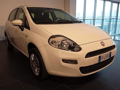 Venduto Fiat Punto 5 Porte 1.4 Natura. - auto usate in vendita