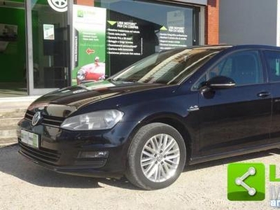 Volkswagen Golf 1.6 TDI 5p. Cinghia appena fatta Spresiano