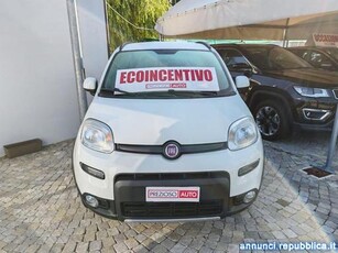 Fiat Panda 4x4 Poirino