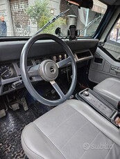 Usato 1991 Jeep Wrangler 2.5 LPG_Hybrid 103 CV (14.000 €)