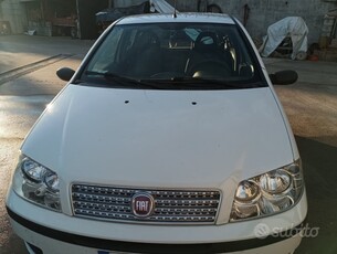 Usato 2009 Fiat Punto Diesel 75 CV (2.200 €)