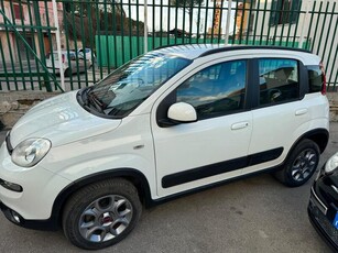 Usato 2014 Fiat Panda 4x4 1.2 Diesel 75 CV (8.199 €)