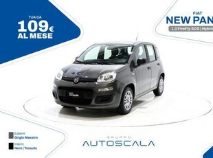 Usato 2022 Fiat Panda 1.0 El_Hybrid 69 CV (9.990 €)