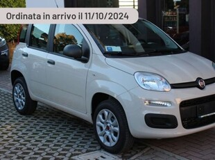 Usato 2023 Fiat Panda 1.0 El_Hybrid 71 CV (12.470 €)
