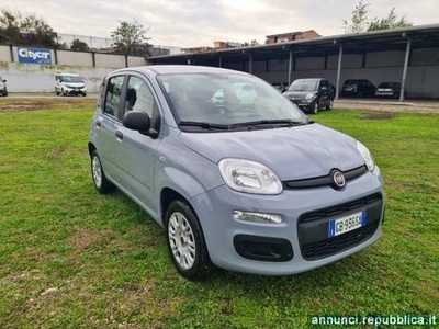 Fiat Panda 1.2 Easy Afragola