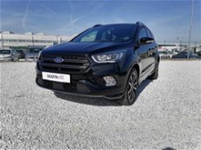 Ford Kuga 1.5 TDCI 120 CV S&S 2WD ST-Line del 2019 usata a Pisa