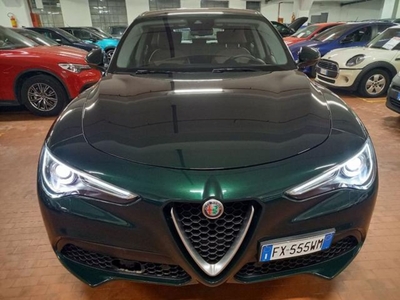 Alfa Romeo Stelvio Stelvio 2.2 Turbodiesel 210 CV AT8 Q4 Business usato