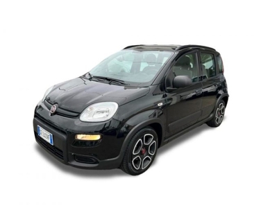 Fiat Panda 1.0 firefly hybrid s&s 70cv usato