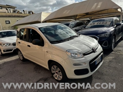 Fiat Panda 1.2 Easy usato