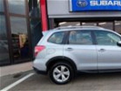 Subaru Forester 2.0D Trend del 2014 usata a Arezzo