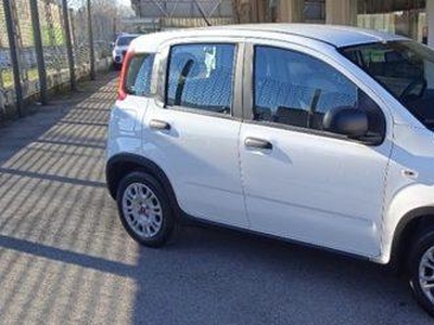 Fiat Panda 1.0 FireFly S&S Hybrid San Giorgio a Liri