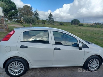 Usato 2011 Fiat Punto 1.2 Diesel 69 CV (4.500 €)