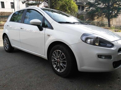 Usato 2013 Fiat Punto 1.2 Diesel 75 CV (5.500 €)