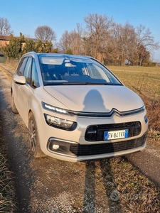 Usato 2019 Citroën Grand C4 Picasso 1.6 Diesel 115 CV (9.900 €)