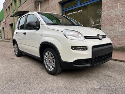 FIAT Panda 1.0 70CV HYBRID 5 POSTI SENSORI PARCH