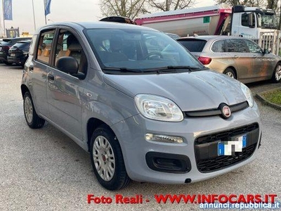 Fiat Panda 1.2 69CV NEOPATENTATI - PRONTA CONSEGNA - POCHI KM Este