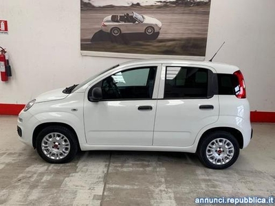 Fiat Panda 1.2 Pop Van 2 posti PREZZO+IVA Montano Lucino