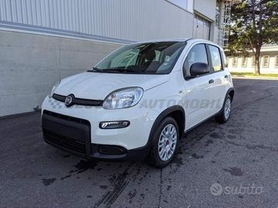 FIAT Panda My23 1.0 70cv Hybrid