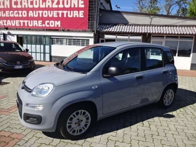 Fiat Panda 1.0 firefly hybrid s&s 70cv 5p.ti usato