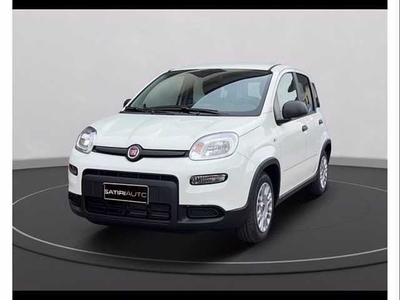 Fiat Panda 1.0 firefly hybrid s&s 70cv 5p.ti nuovo