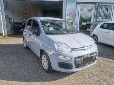 Fiat Panda 1.0 firefly hybrid s&s 70cv 5p.ti usato