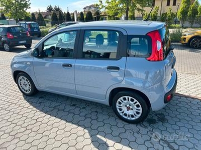 Fiat Panda 1.0 hybrid 2021