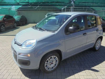 Fiat Panda 1.2