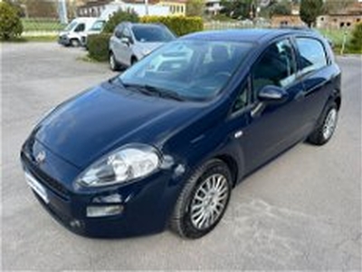 Fiat Punto 1.3 MJT II S&S 95 CV 5 porte Street del 2016 usata a Perugia