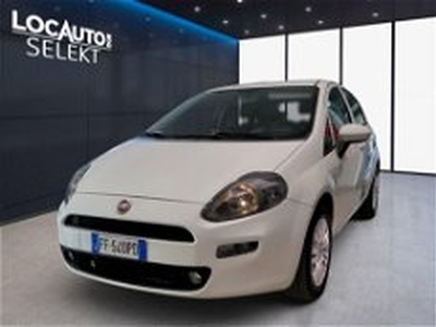 Fiat Punto 1.4 8V 5 porte Easypower Lounge del 2016 usata a Torino