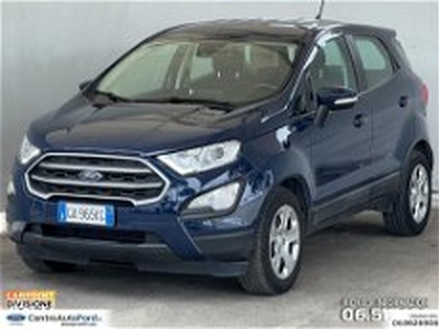 Ford EcoSport 1.5 Ecoblue 95 CV Start&Stop Plus del 2020 usata a Albano Laziale