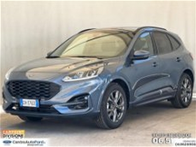 Ford Kuga Kuga 1.5 ecoboost ST-Line 2wd 150cv del 2023 usata a Albano Laziale