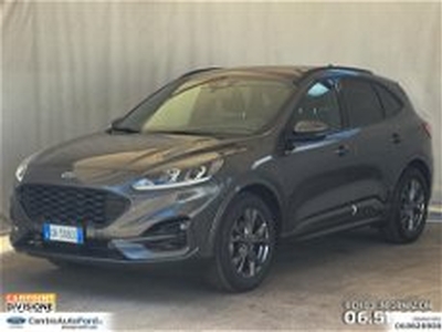 Ford Kuga Kuga 1.5 ecoboost ST-Line 2wd 150cv del 2023 usata a Albano Laziale