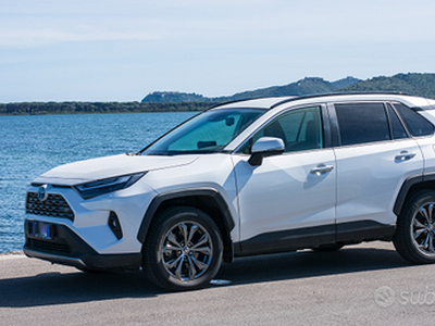 Toyota RAV4 Hybrid 2.5 222cv