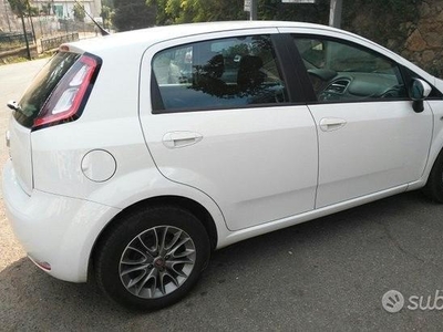 Usato 2013 Fiat Punto 1.2 Diesel 75 CV (5.200 €)