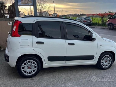 Usato 2017 Fiat Panda 1.2 Diesel 95 CV (8.500 €)