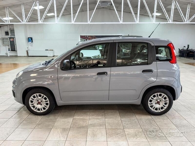 Usato 2018 Fiat Panda 1.2 LPG_Hybrid 69 CV (8.400 €)