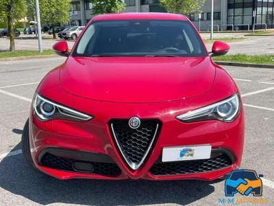 Usato 2020 Alfa Romeo Stelvio 2.1 Diesel 160 CV (22.990 €)