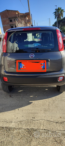Usato 2020 Fiat Panda 0.9 CNG_Hybrid 85 CV (8.900 €)