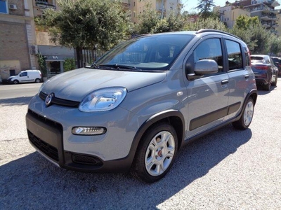 Usato 2022 Fiat Panda 1.0 El_Hybrid 70 CV (13.700 €)