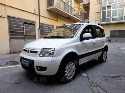 Fiat Panda 1.2 4x4 Climbing usato