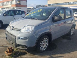 Fiat Panda 1.0 firefly hybrid s&s 70cv nuovo