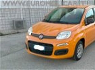 Fiat Panda 1.2 del 2018 usata a Busso